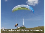 bon-cadeau-vol-biplace-decouverte-flying-puy-de-dome_1484907687